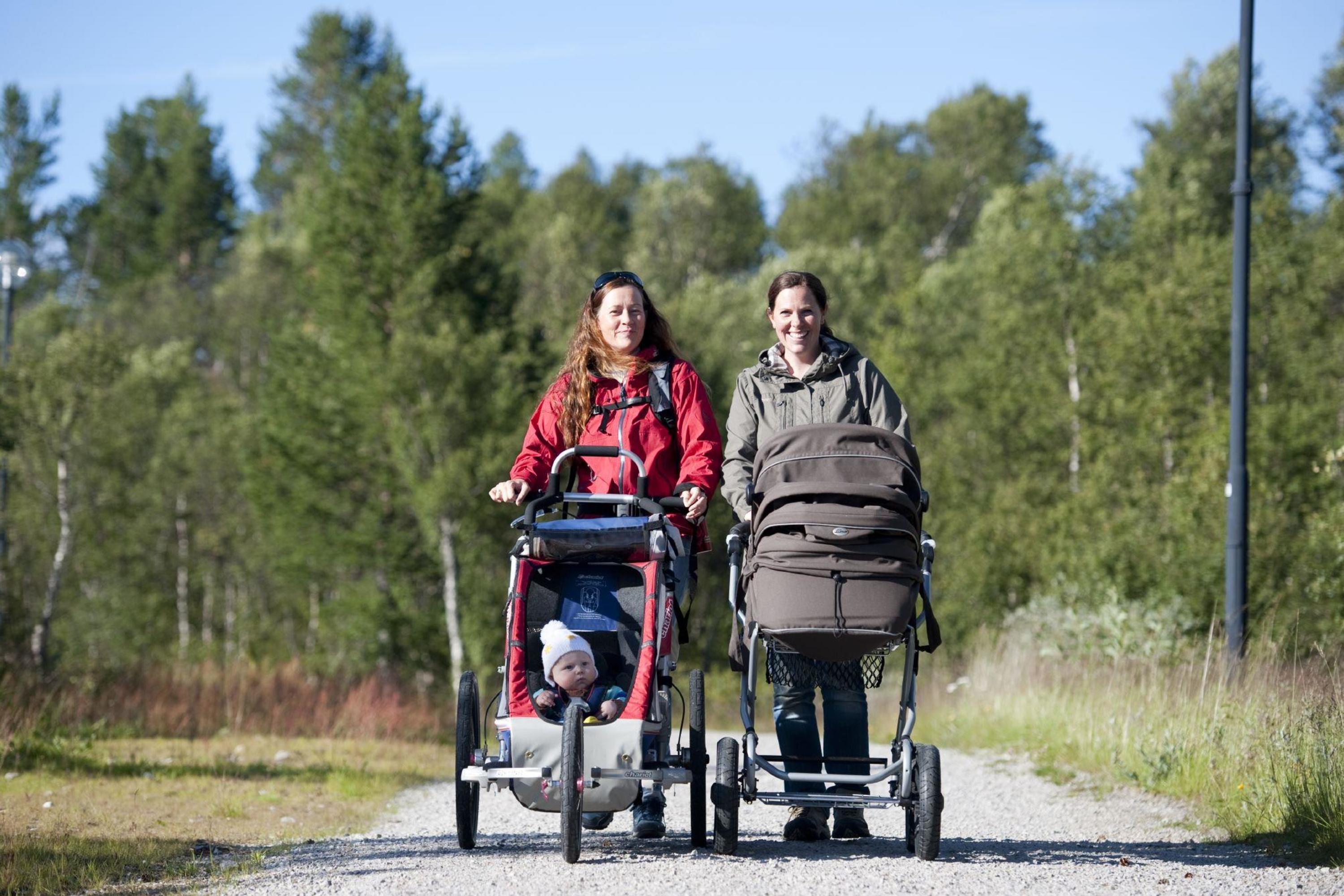 Otrossen - Rundweg 5 km - Wandern mit Kinderwagen - Visit Srlandet